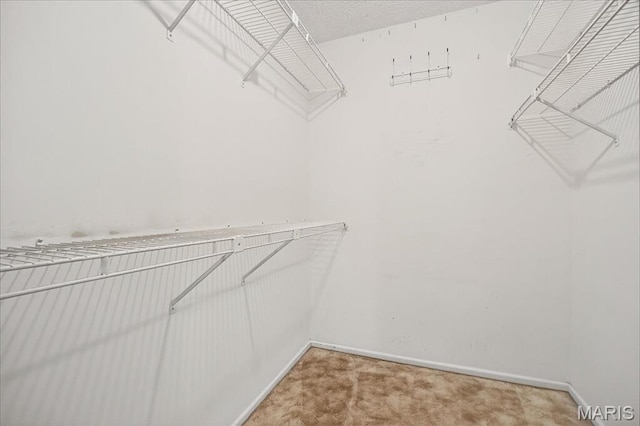 42 Dugan Ct, Cottleville Township, MO 63304 - photo 38