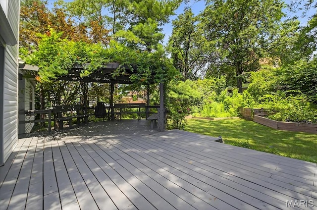 42 Dugan Ct, Cottleville Township, MO 63304 - photo 43