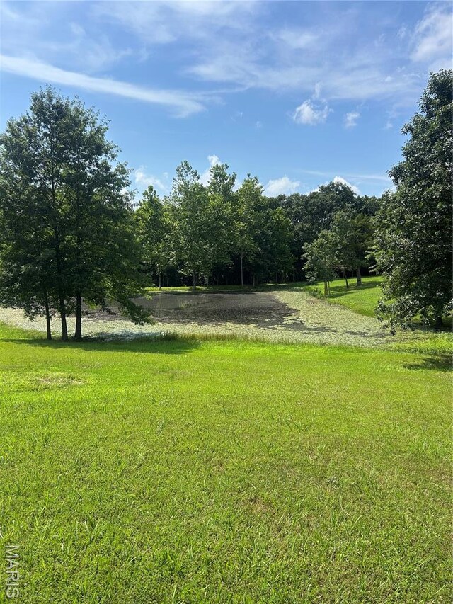 12401 Squirrel Run, Wright City, MO 63390 - photo 5