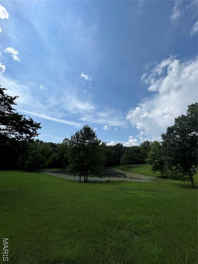 12401 Squirrel Run, Wright City, MO 63390 - photo 8