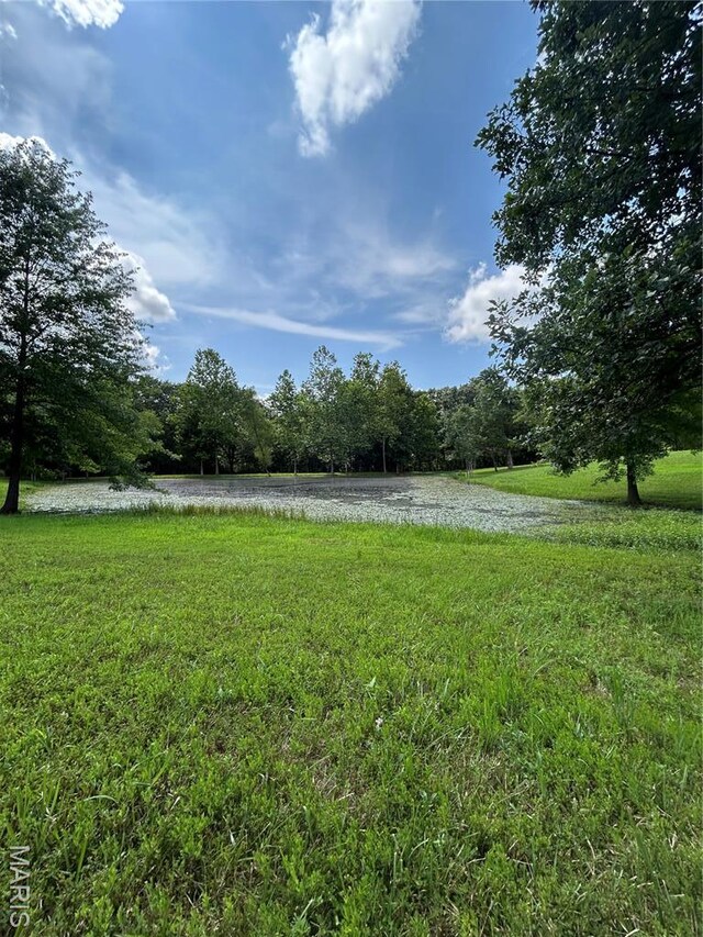 12401 Squirrel Run, Wright City, MO 63390 - photo 11