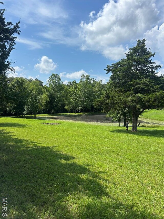12401 Squirrel Run, Wright City, MO 63390 - photo 6