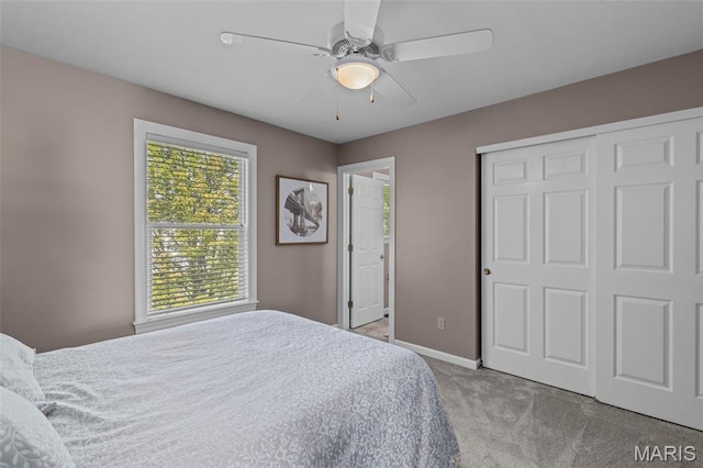 17212 Bluffview Ridge Pl, Chesterfield, MO 63005 - photo 42