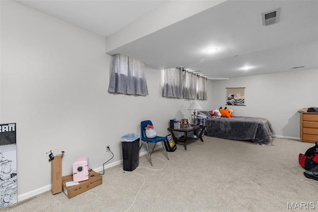 17212 Bluffview Ridge Pl, Chesterfield, MO 63005 - photo 58