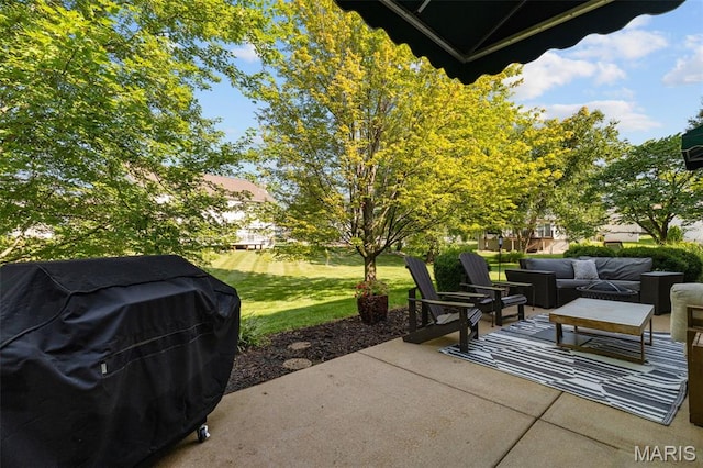 17212 Bluffview Ridge Pl, Chesterfield, MO 63005 - photo 72