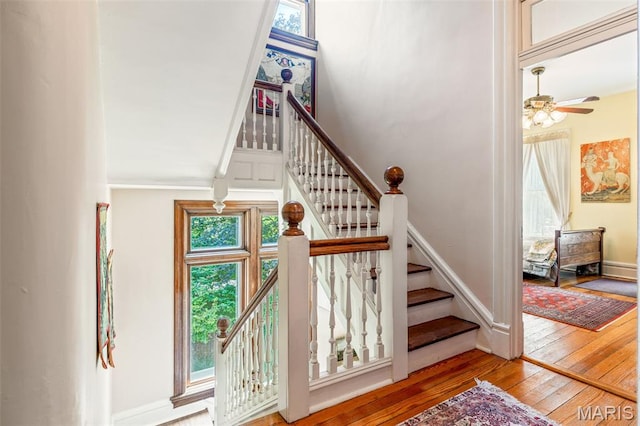 215 Rosemont Ave, Webster Groves, MO 63119 - photo 31