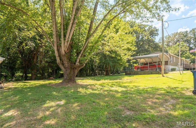 703 Center St, Bloomfield, MO 63825 - photo 6