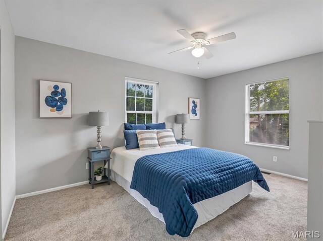 2127 Pomme Rd, Arnold, MO 63010 - photo 15