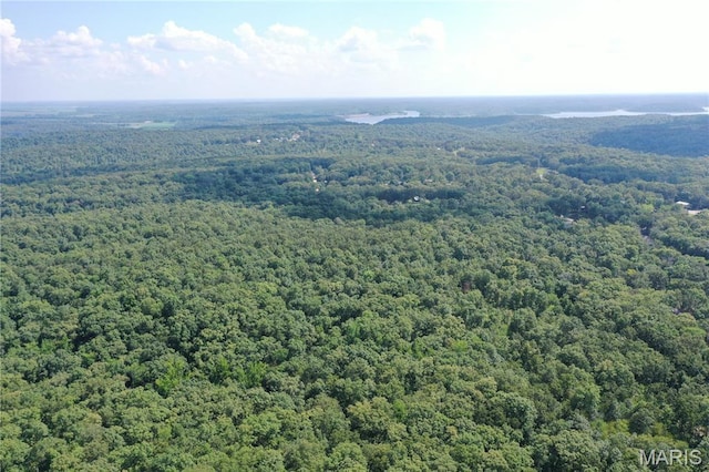 TBD S Oak, Wappapello, MO 63966 - photo 1