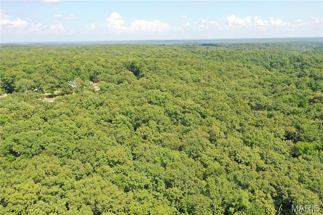 TBD S Oak, Wappapello, MO 63966 - photo 2