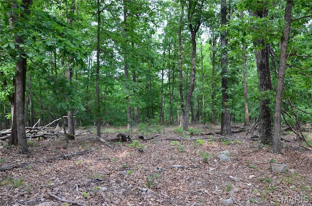 TBD S Oak, Wappapello, MO 63966 - photo 6