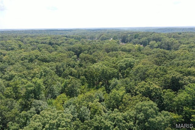 TBD S Oak, Wappapello, MO 63966 - photo 9