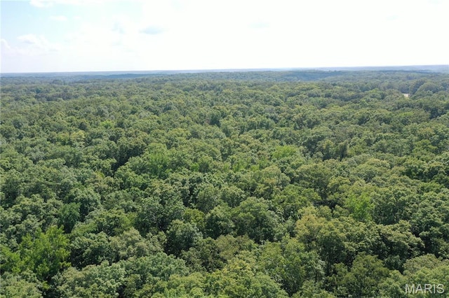 TBD S Oak, Wappapello, MO 63966 - photo 10