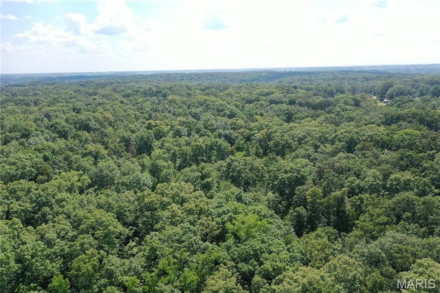 TBD S Oak, Wappapello, MO 63966 - photo 11