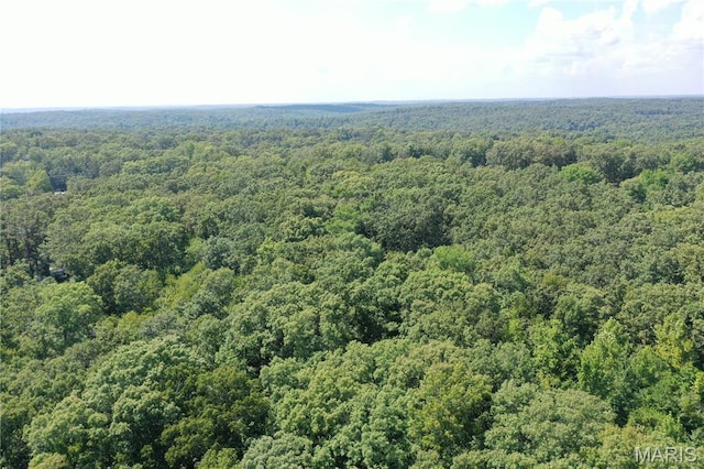 TBD S Oak, Wappapello, MO 63966 - photo 12