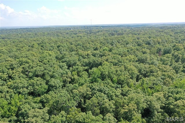 TBD S Oak, Wappapello, MO 63966 - photo 14