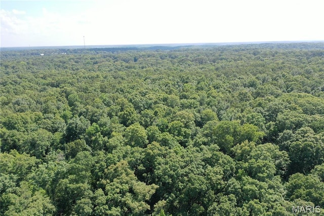 TBD S Oak, Wappapello, MO 63966 - photo 15