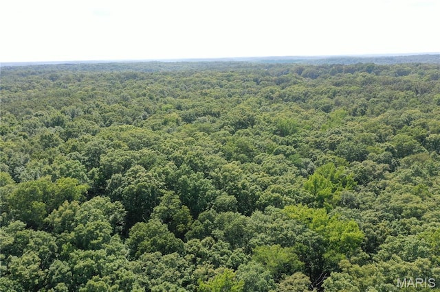 TBD S Oak, Wappapello, MO 63966 - photo 16