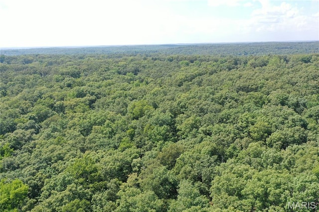 TBD S Oak, Wappapello, MO 63966 - photo 17