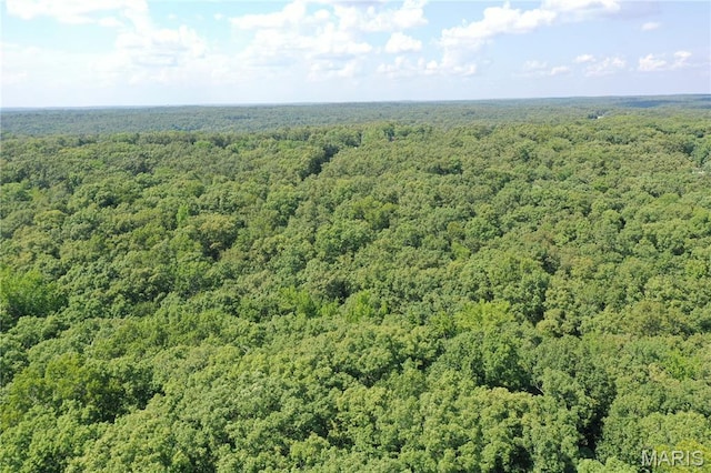 TBD S Oak, Wappapello, MO 63966 - photo 18