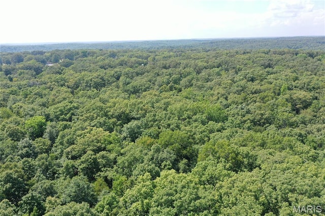 TBD S Oak, Wappapello, MO 63966 - photo 19
