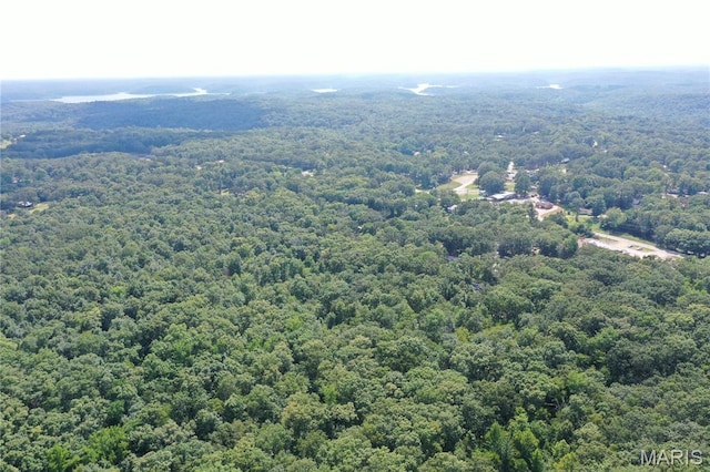 TBD S Oak, Wappapello, MO 63966 - photo 20