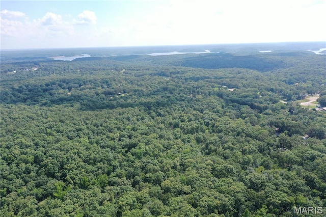 TBD S Oak, Wappapello, MO 63966 - photo 22