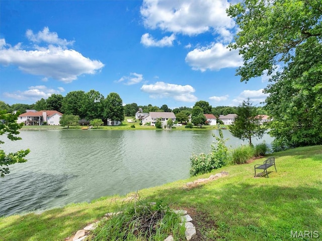 827 Bridgewater Xing, Villa Ridge, MO 63089 - photo 7