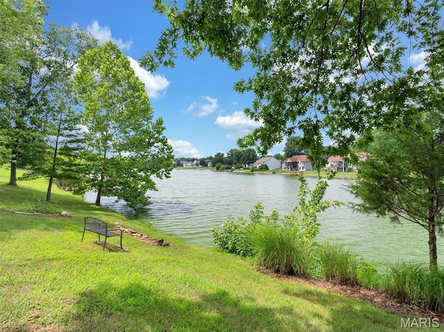 827 Bridgewater Xing, Villa Ridge, MO 63089 - photo 8