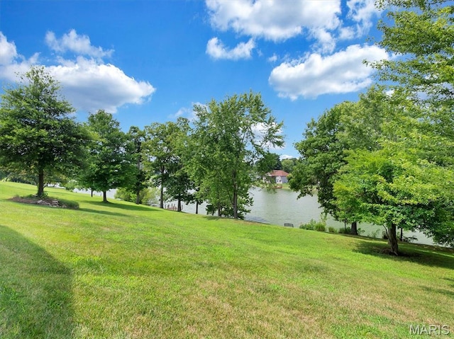 827 Bridgewater Xing, Villa Ridge, MO 63089 - photo 9