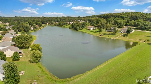 827 Bridgewater Xing, Villa Ridge, MO 63089 - photo 57