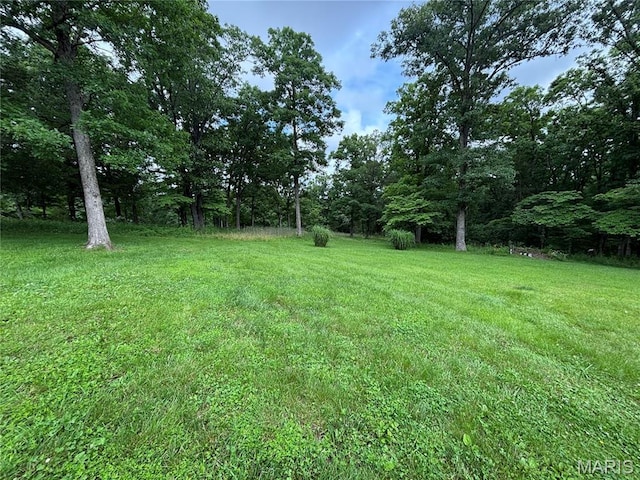 1893 Hecker Rd, Owensville, MO 65066 - photo 15