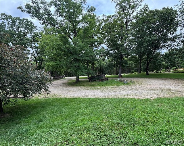 1893 Hecker Rd, Owensville, MO 65066 - photo 11