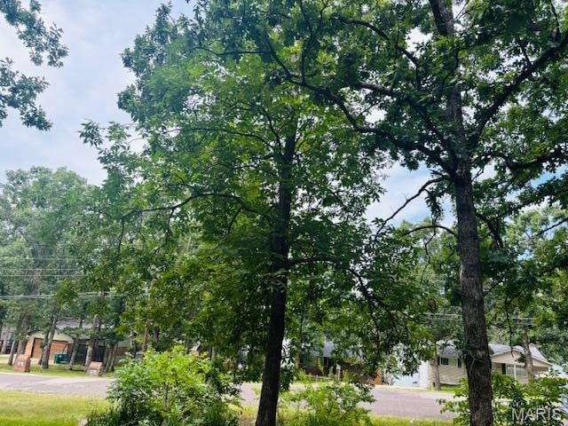 744 Squaw Rd, Cuba, MO 65453 - photo 3