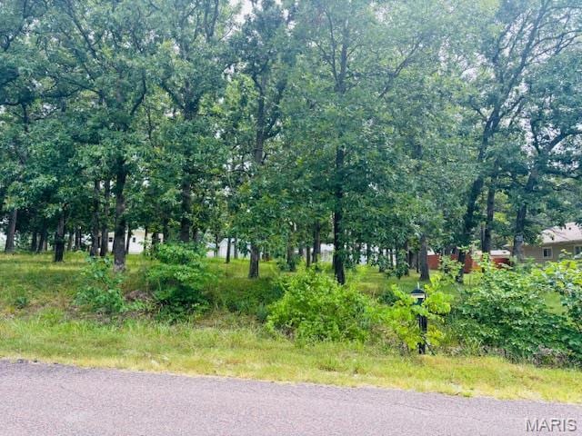 744 Squaw Rd, Cuba, MO 65453 - photo 5