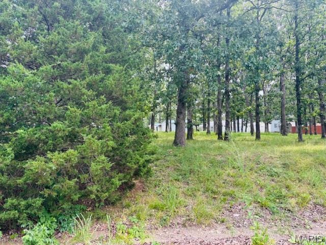 744 Squaw Rd, Cuba, MO 65453 - photo 6