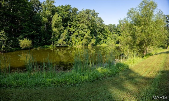 7394 State Highway 34, Marble Hill, MO 63764 - photo 34