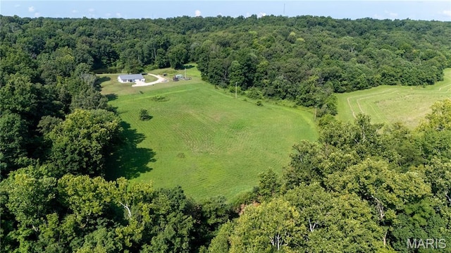 7394 State Highway 34, Marble Hill, MO 63764 - photo 35