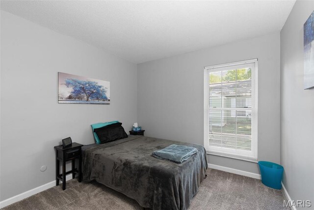 2462 Forest Shadows Dr, Ferguson Township, MO 63136 - photo 6