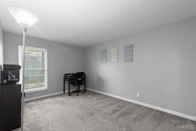 2462 Forest Shadows Dr, Ferguson Township, MO 63136 - photo 7