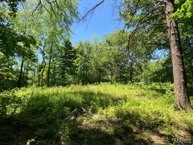 00 Old Jefferson City Rd, Fulton, MO 65251 - photo 5