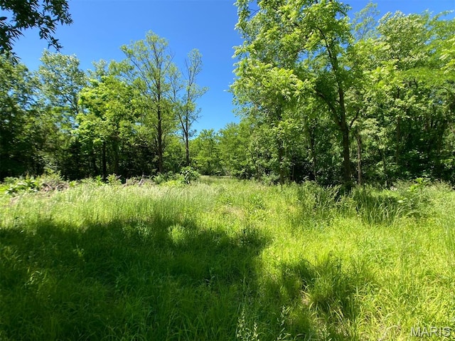 00 Old Jefferson City Rd, Fulton, MO 65251 - photo 6