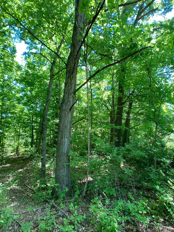 00 Old Jefferson City Rd, Fulton, MO 65251 - photo 15
