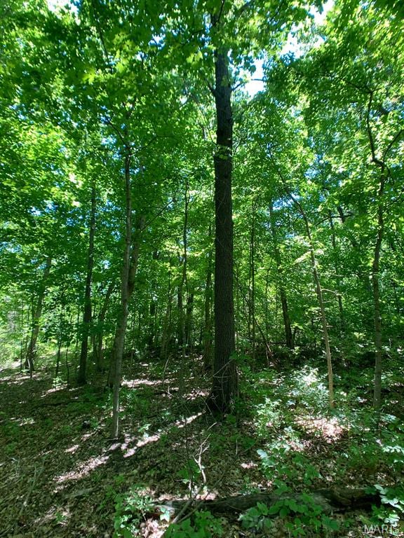 00 Old Jefferson City Rd, Fulton, MO 65251 - photo 16
