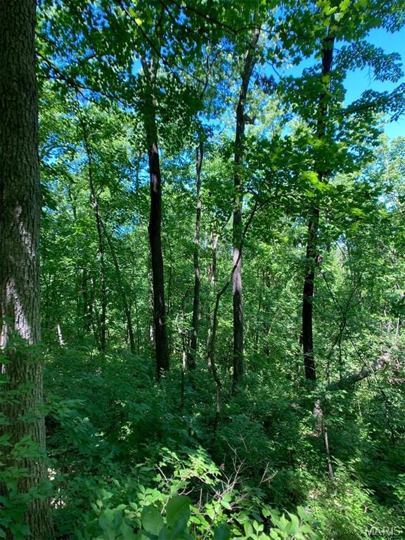 00 Old Jefferson City Rd, Fulton, MO 65251 - photo 17