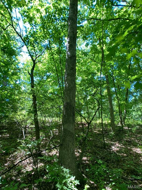 00 Old Jefferson City Rd, Fulton, MO 65251 - photo 18