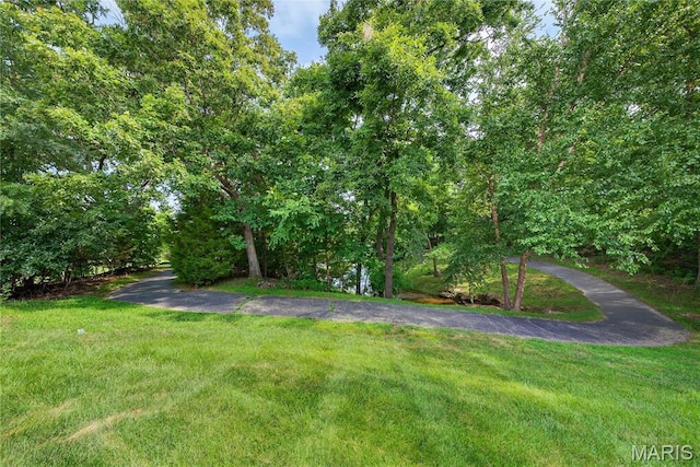 18 Silo Ridge Ct, Wentzville, MO 63385 - photo 27