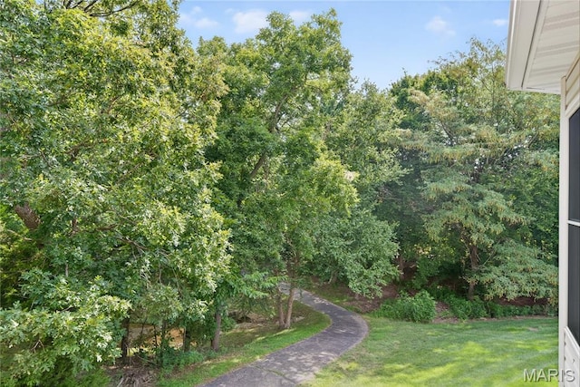 18 Silo Ridge Ct, Wentzville, MO 63385 - photo 35