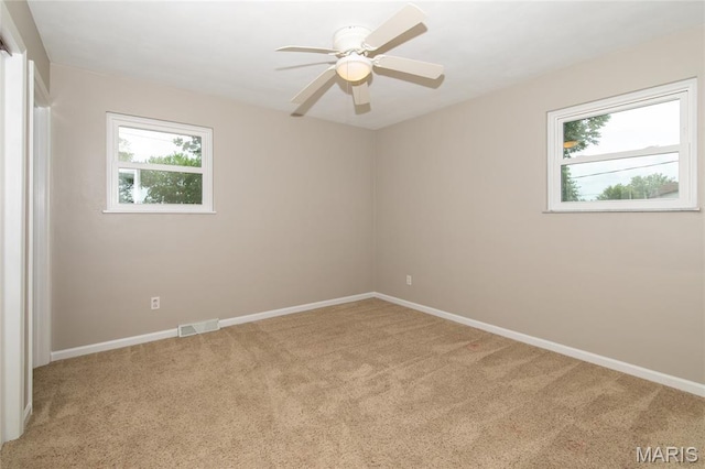 124 Williamsburg Dr, Belleville, IL 62221 - photo 19