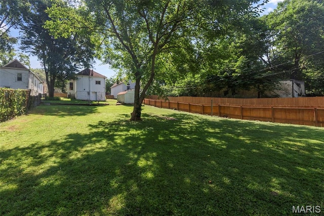2817 Dalton Ave, Saint Louis, MO 63139 - photo 25